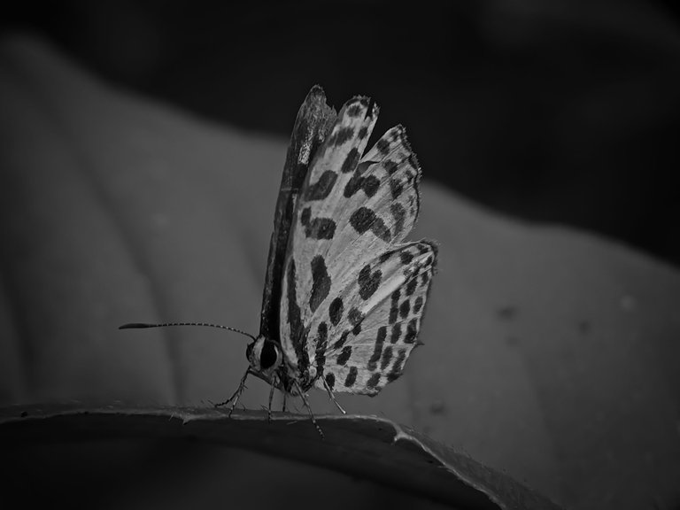 IMG20230219154115_01-01 (1).jpg