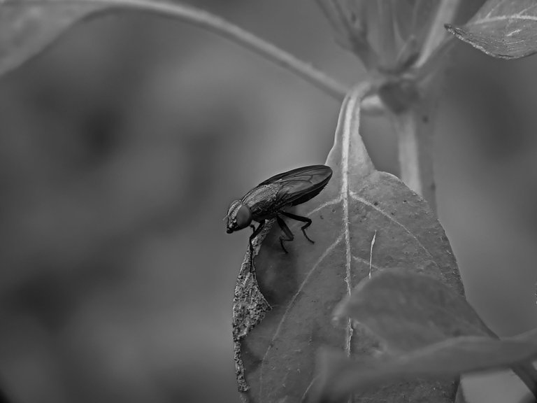 IMG20230124170806_01-01 (1).jpg