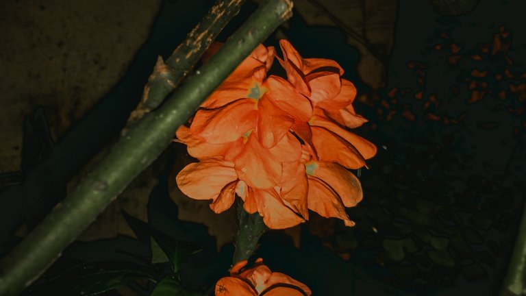 IMG_20220122_205121.jpg