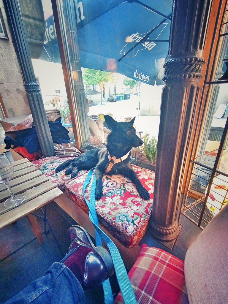 When visiting in Cafes, she is very audacious & prefers sitting as a human would do