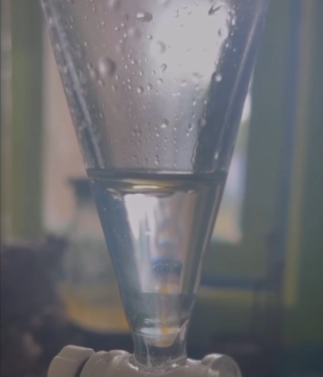 The Yield of Essential Oil from our First Round of Distilling, the oil is floating on top
