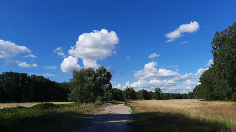 Auf dem Rundweg (1)