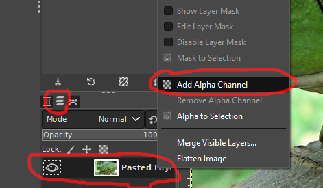Adding an alpha channel to a layer