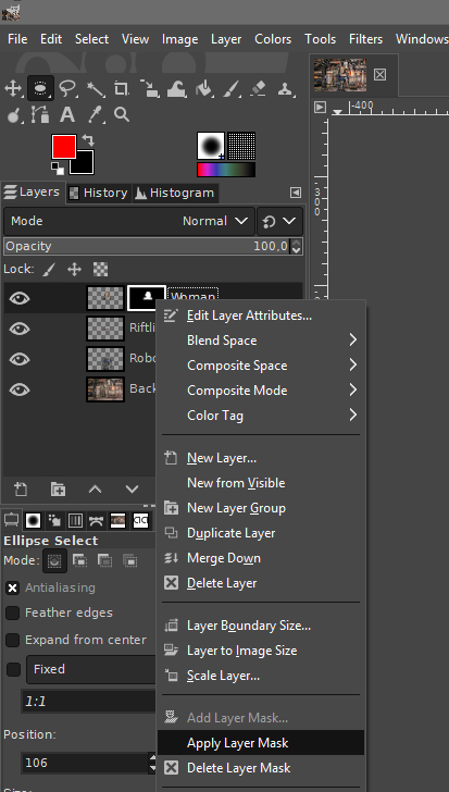 Submenu: Apply Layer Mask