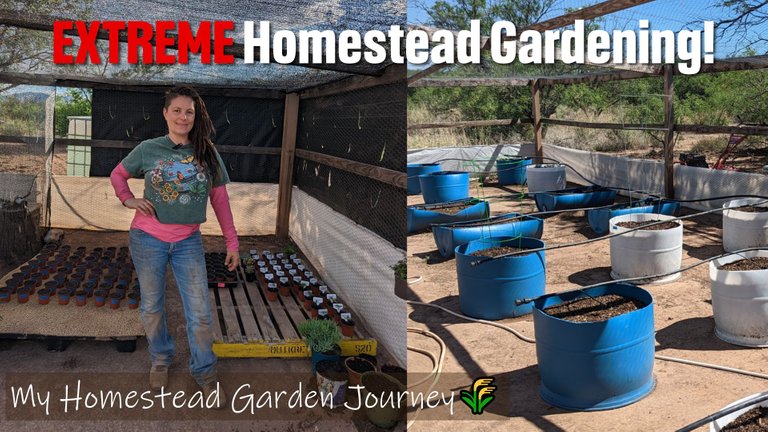 homestead-garden-journey.jpg