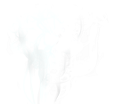 Smoke - 1271x1163.png