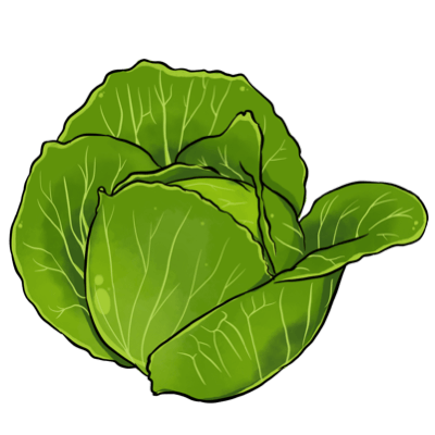 Cabbage.ff361fbf.png