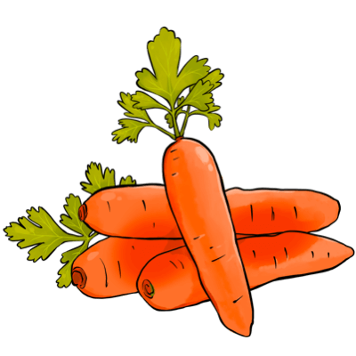 Carrot.a194bd43.png