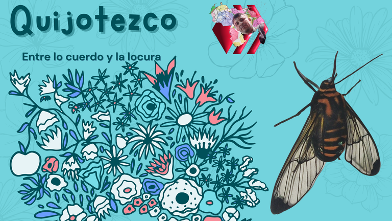 Polilla alas transparentes.png
