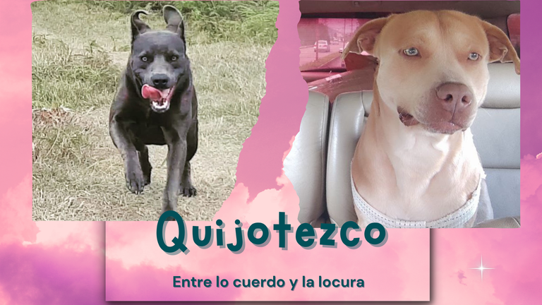 Simba y Grey.png