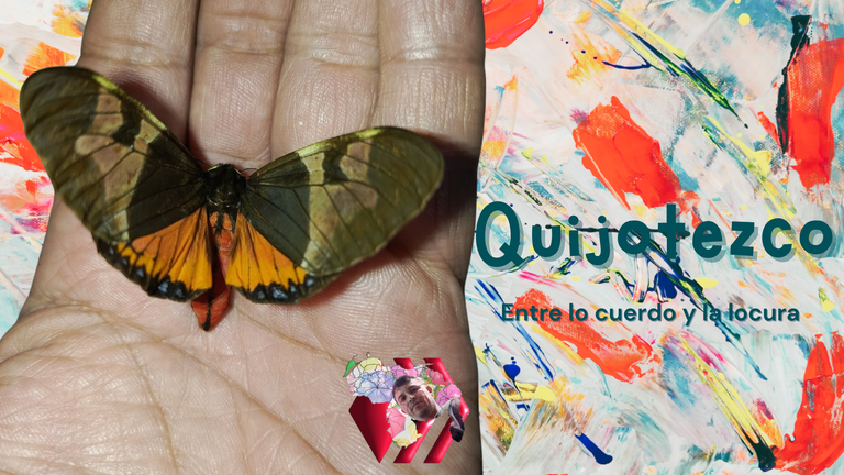 Mariposa.png