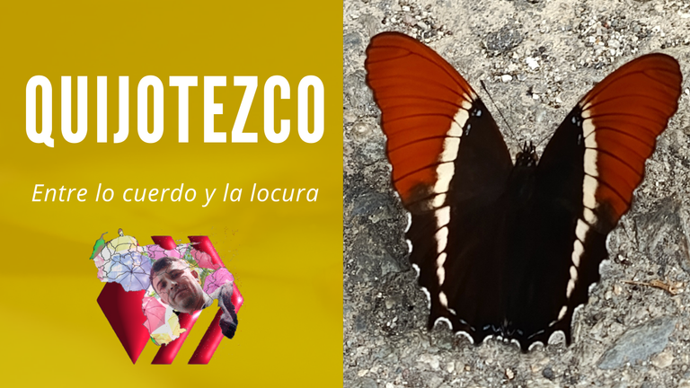 Mariposa.png