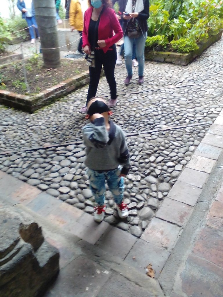 IMG_20210829_151518.jpg