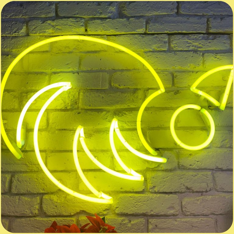 diseno.jpg