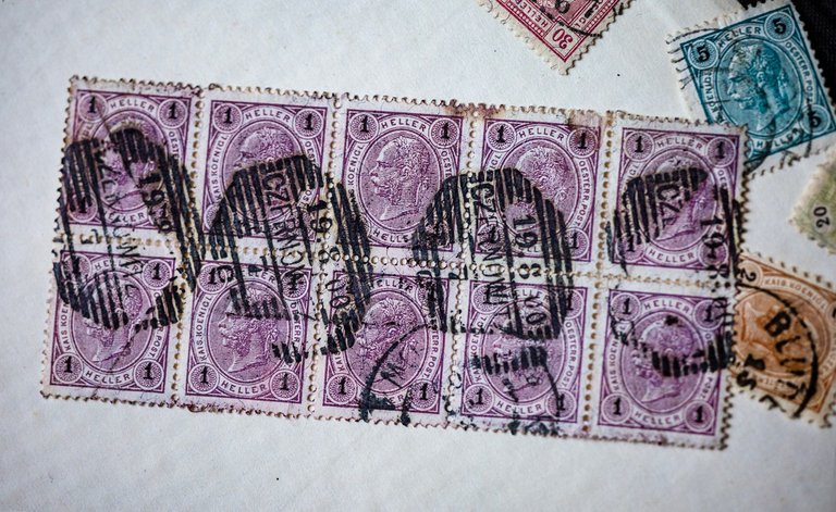 2025-jul-7154w-h1.jpg
