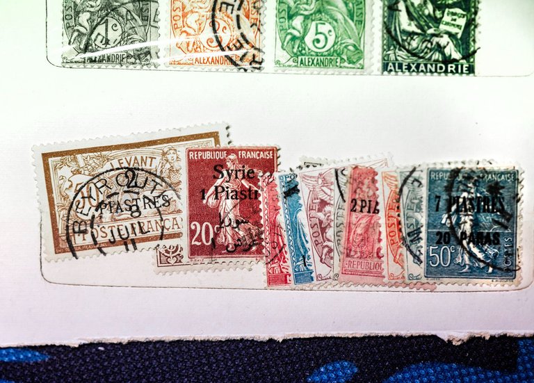 2025-may-3933w-h.jpg