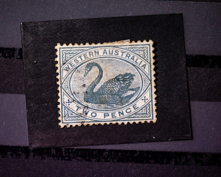 2025-may-3929w-h1.jpg