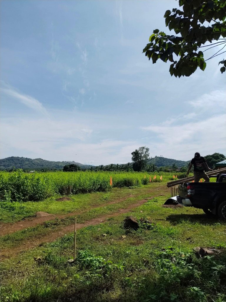 f2c3e950-d22d-4fe0-8ba4-6da8e243b55d.jfif