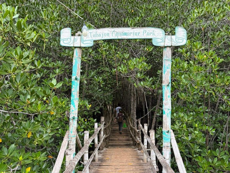 041b2b32-4829-4059-bc59-f2090daa84ef.jfif