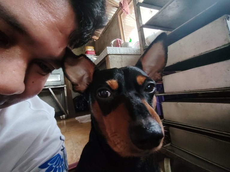 e34fe7e4-d5c2-4233-b8c7-1f55d96fb3c1.jfif