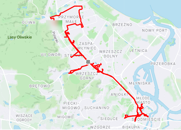 Opera Zrzut ekranu_2021-03-17_205500_www.strava.com.png