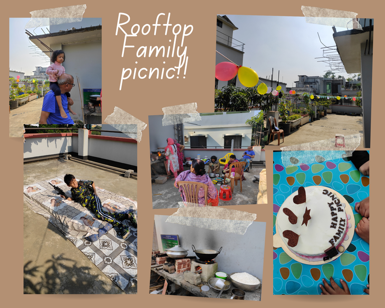 Rooftop Family picnic (1).png