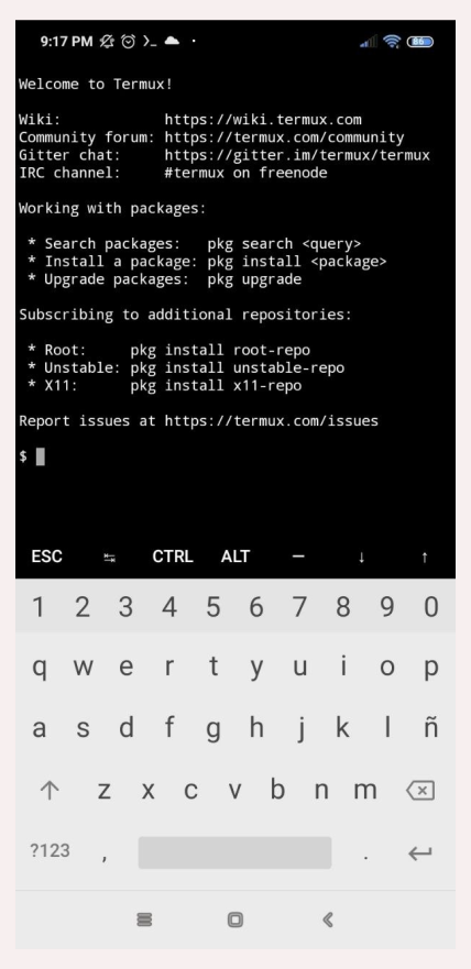 termux_terminal.png