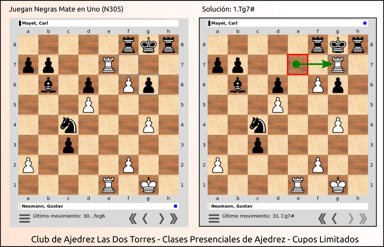 305_ficha.png