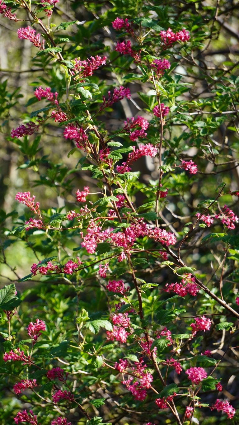 DSC01311.JPG
