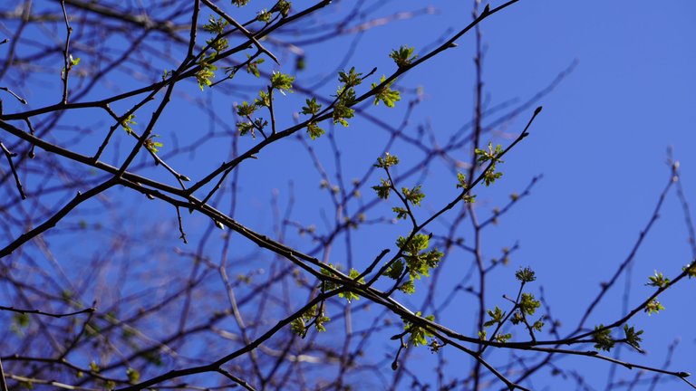 DSC01301.JPG