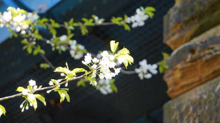 DSC01304.JPG