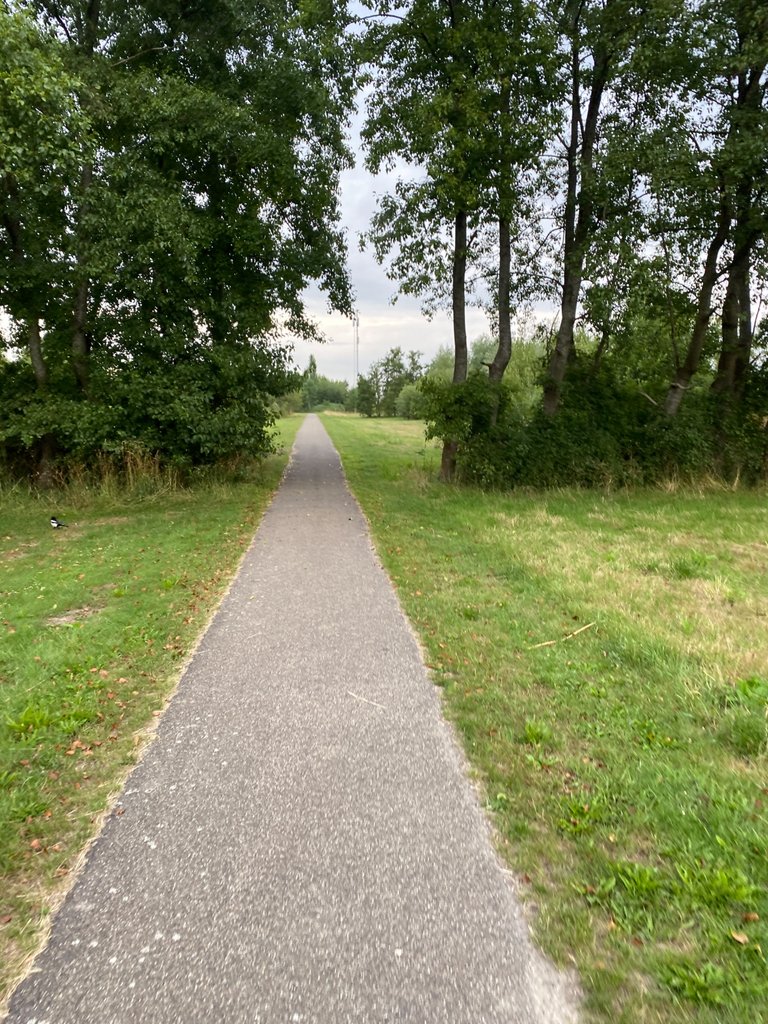 IMG_2491.jpeg