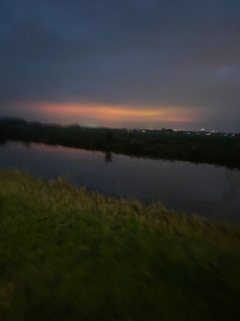 IMG_6214.jpeg
