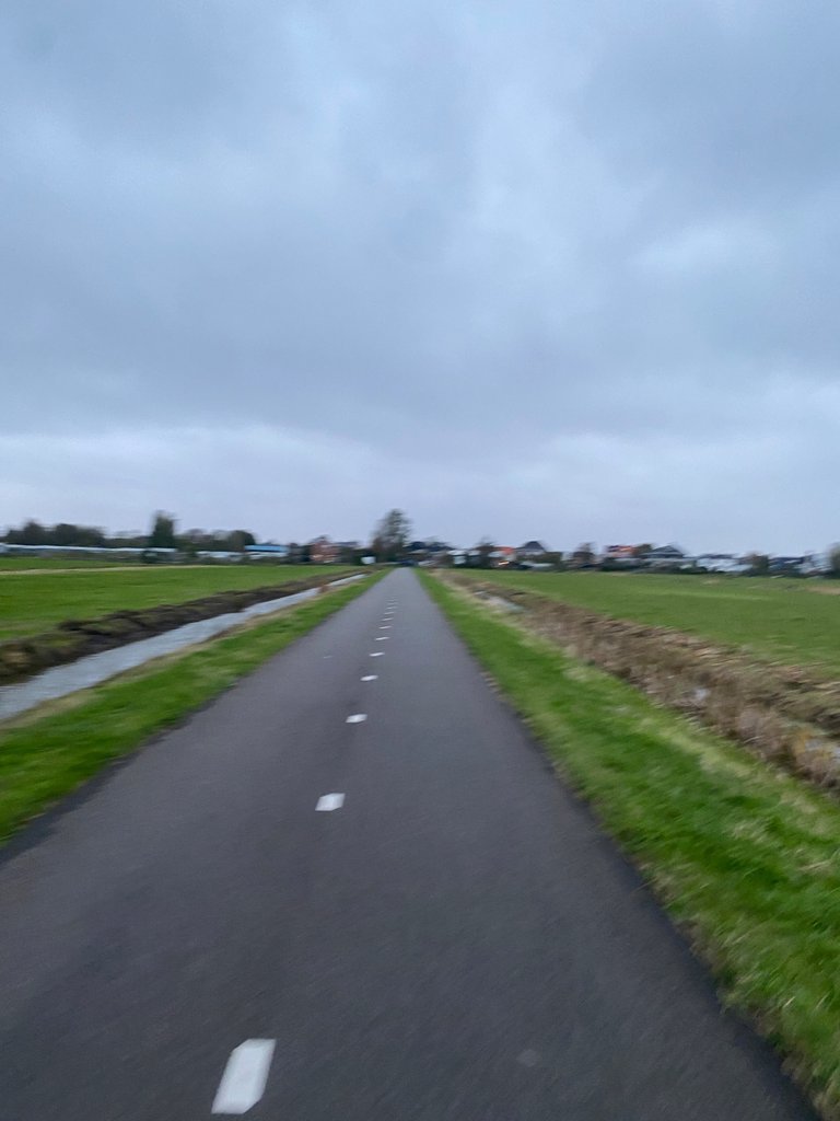 IMG_6898.jpeg