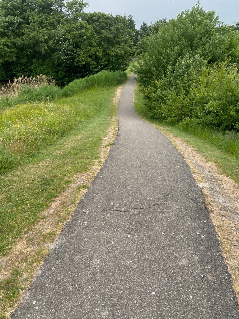 IMG_0740.jpeg