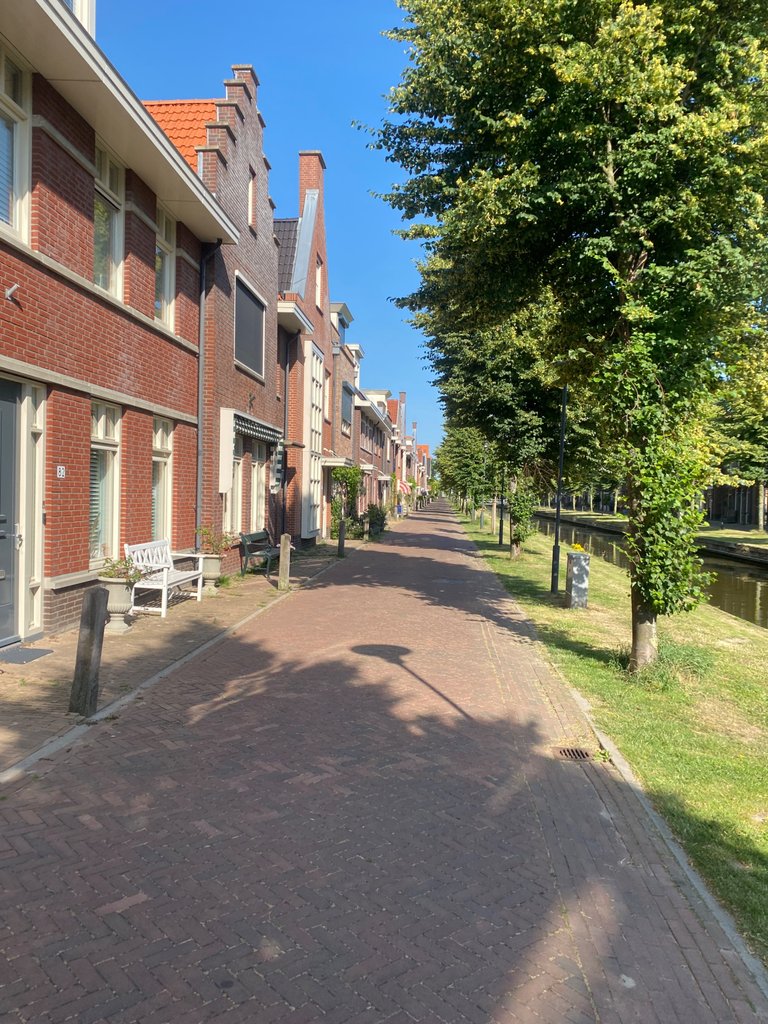 IMG_2005.jpeg