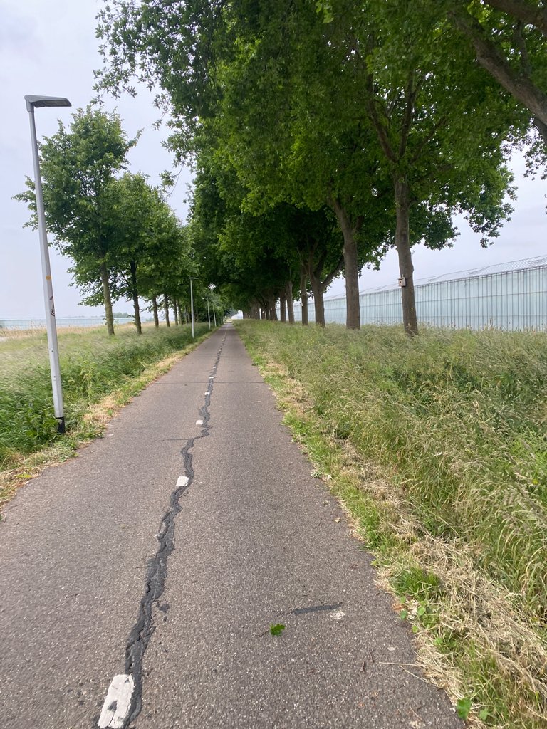 IMG_0747.jpeg