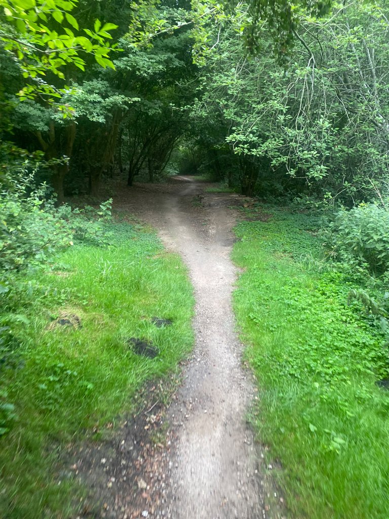 IMG_2596.jpeg