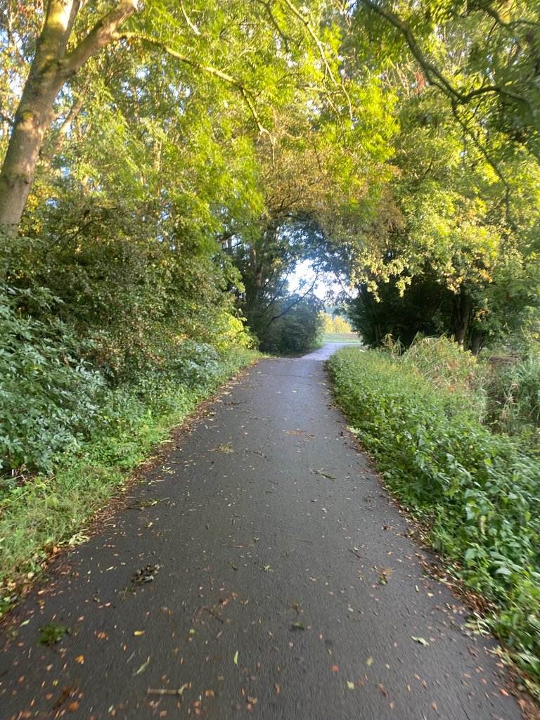 IMG_5355.jpeg