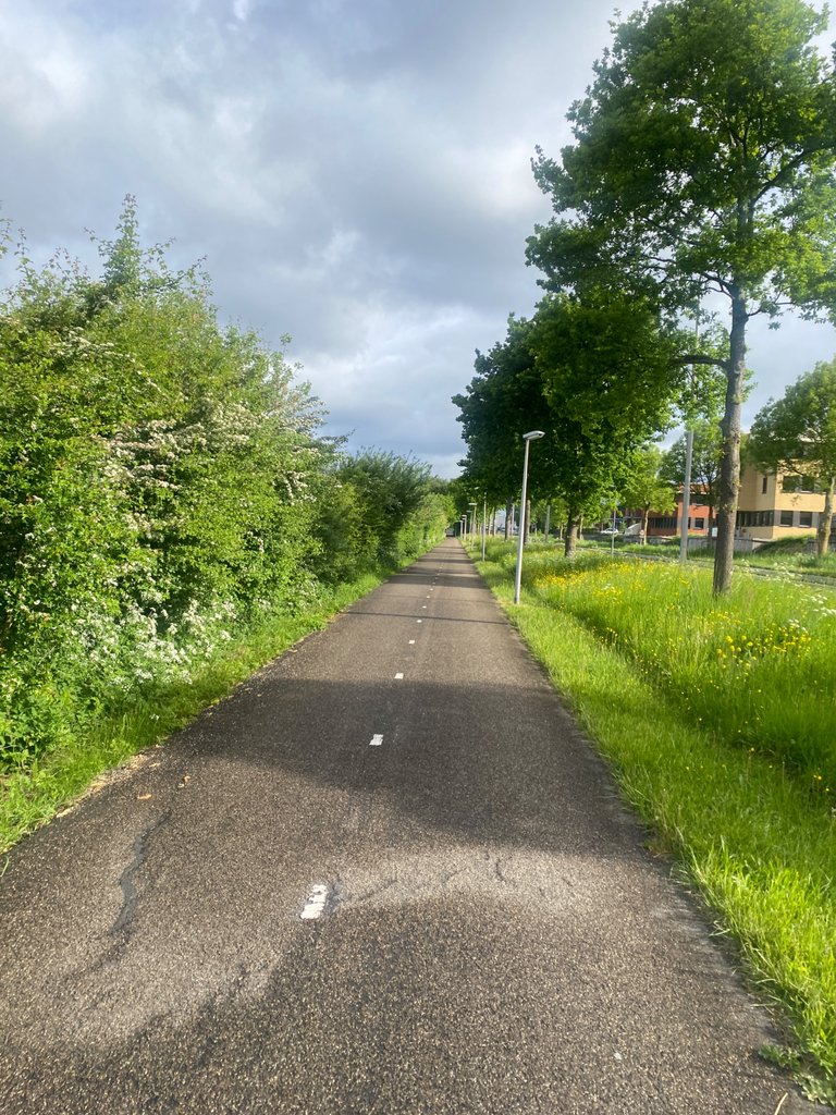 IMG_0101.jpeg