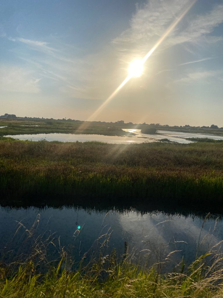 IMG_2260.jpeg