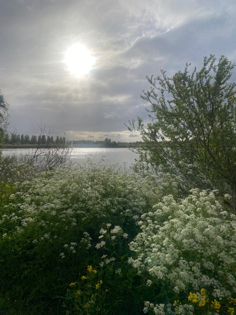 IMG_0093.jpeg
