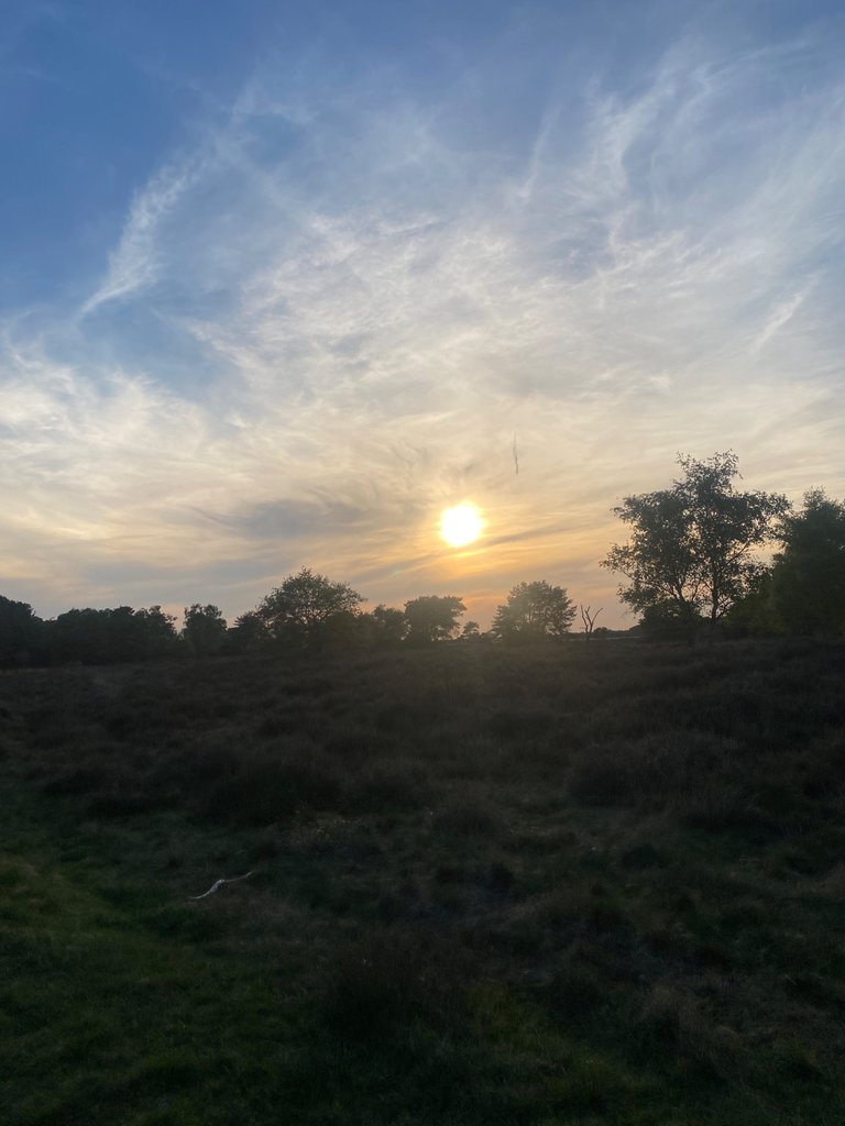 IMG_9984.jpeg