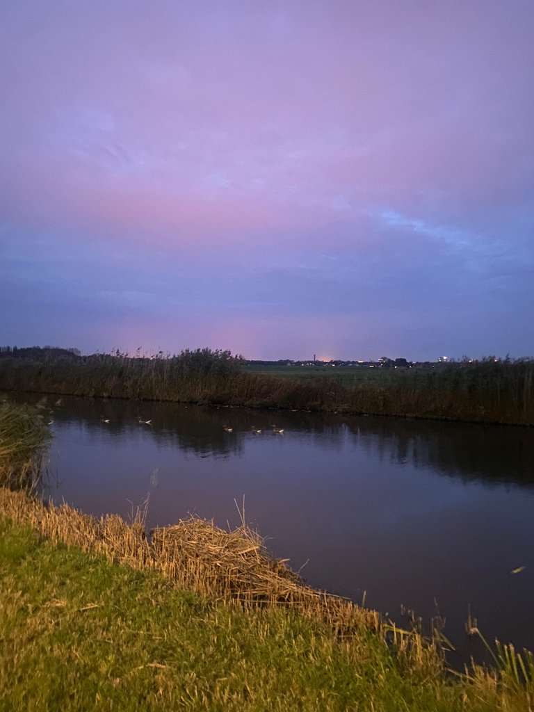 IMG_6403.jpeg