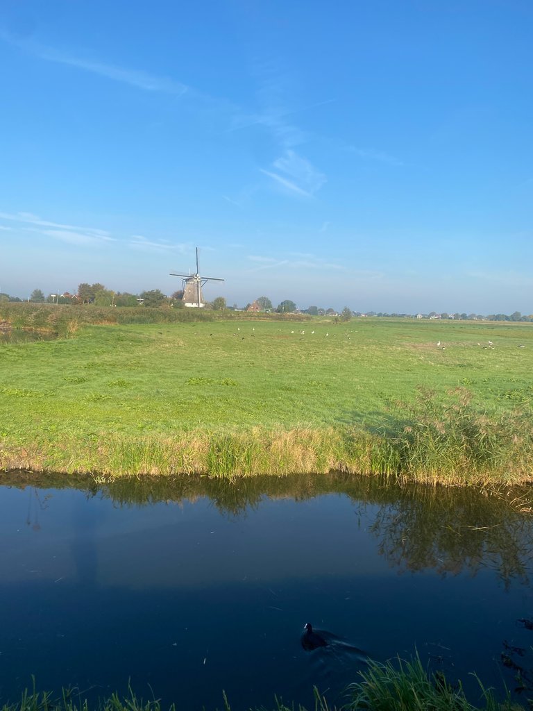 IMG_5796.jpeg