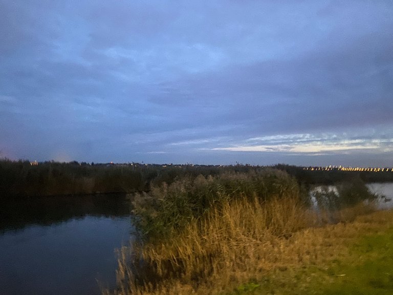IMG_6404.jpeg