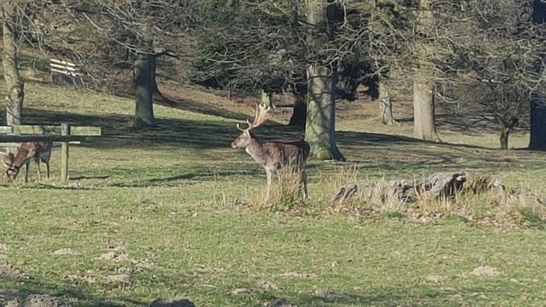 20250318_150525.jpg