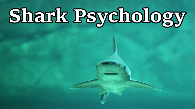 Shark Psychology.png
