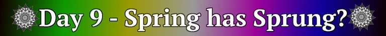 30DayBannerTitle_SpringhasSprung.jpg