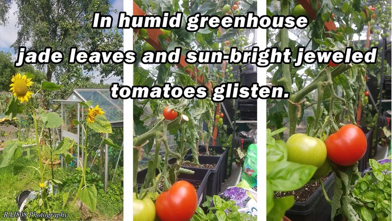 Greenhouse PicHaiku.jpg